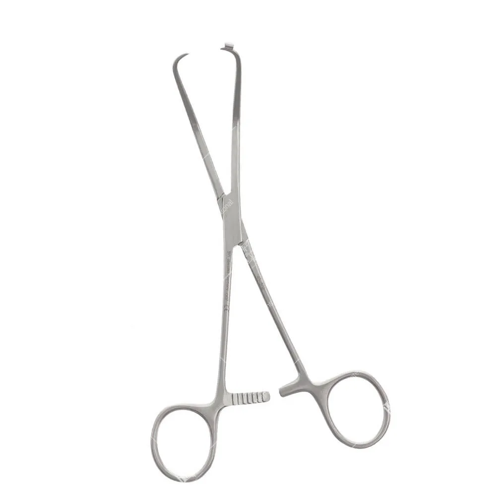 Bone Holding Forcep, Orthopedic Instrument
